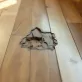 Jak naprawić drewnianą podłogę