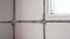 jak odświeżyć fugi w łazience