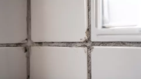 jak odświeżyć fugi w łazience