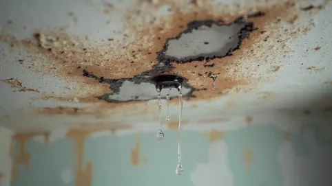 Jak naprawić sufit po zalaniu