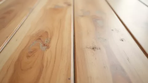 jak odświeżyć panele podłogowe