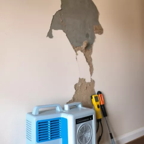 Zalana Ściana Jak Naprawić